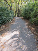 Walking Path