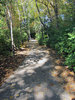 Walking Path