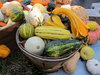 Gourds