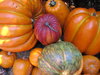 Pumpkins