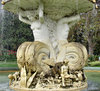 fountain frolics
