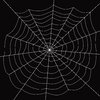 Spider's Web