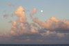 Full moon at dawn