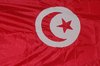 Tunisian flag