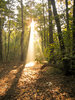 spot of light