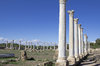 Ancient pillars