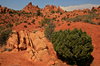 West landscape