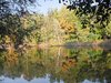 reflections of autumn 2