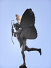 Anteros