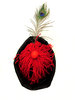 feather in my cap1