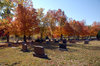 Cemetery