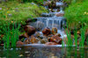 Small waterfall