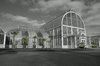 Palmhouse