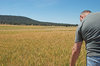 agriculture