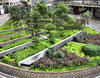 road island garden