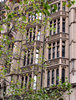 historic building and tree