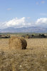 Cyprus landscape 12