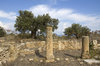 Ancient church ruins 1