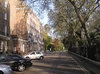 Road by the park
