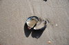 Two Shells