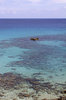 Reef