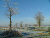 comphot04