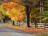 Country Road in Autumn