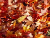 Autumn leaves background