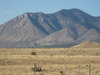 New Mexico Landscapes