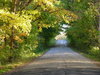Dirt Road in Autumn