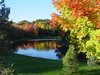 Pond in autumn