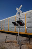 Train Signal