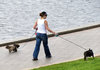 walking the dogs