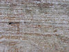 timber textures3