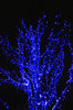 Electree 1