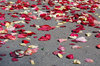 After wedding 1