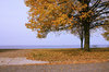 Autumn lake wallpaper