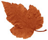 Leaf Tones 5