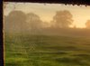 Spiders Web