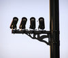 CCTV Cameras