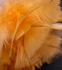 orange feathers & fluff1