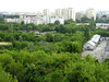 View from a hill
