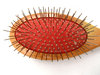dog brush5