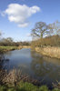 River in early spring