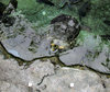 keeping your head above water1