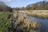 River shallows