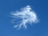 sky spirits5