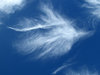 sky spirits7