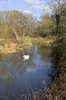 Rural English river