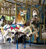 at the carousel2